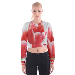 Tulip Red Watercolor Painting Women s Cropped Sweatshirt by picsaspassion