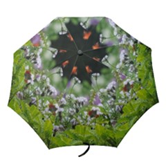 Wild Flowers Folding Umbrellas by picsaspassion
