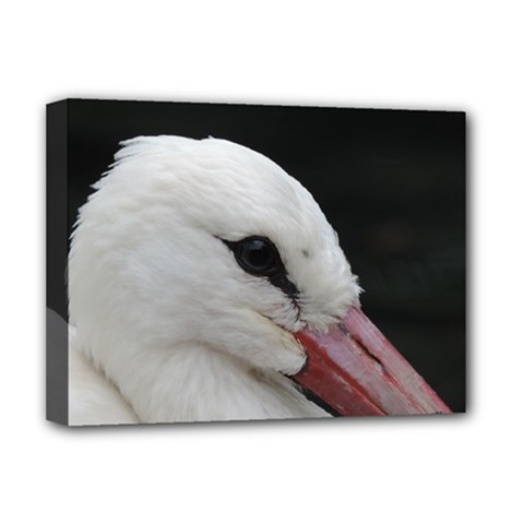 Wild Stork Bird, Close-up Deluxe Canvas 16  X 12   by picsaspassion