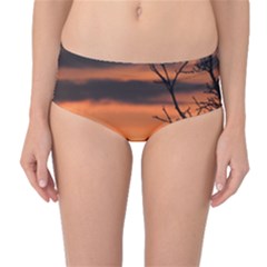 Tree Branches And Sunset Mid-waist Bikini Bottoms by picsaspassion