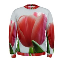 Red Tulips Men s Sweatshirt by picsaspassion