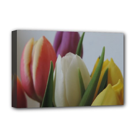 Colored By Tulips Deluxe Canvas 18  X 12   by picsaspassion
