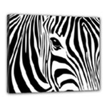Animal Cute Pattern Art Zebra Canvas 20  x 16 