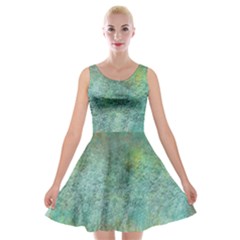 Rainforest Velvet Skater Dress by digitaldivadesigns