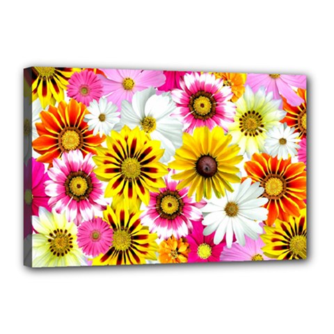 Flowers Blossom Bloom Nature Plant Canvas 18  X 12  by Amaryn4rt