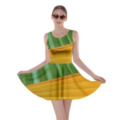 Pattern Colorful Palm Leaves Skater Dress by Amaryn4rt
