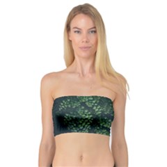 Abstract Art Background Biology Bandeau Top by Amaryn4rt