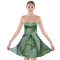 Bright Cabbage Color Dew Flora Strapless Bra Top Dress View1