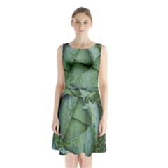 Bright Cabbage Color Dew Flora Sleeveless Chiffon Waist Tie Dress by Nexatart