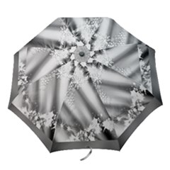 Christmas Background  Folding Umbrellas by Nexatart