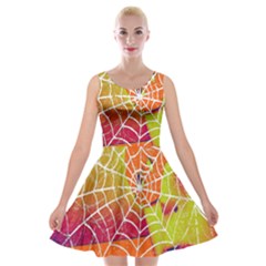 Orange Guy Spider Web Velvet Skater Dress by Nexatart