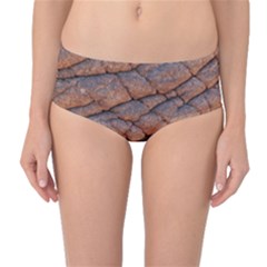 Elephant Skin Mid-waist Bikini Bottoms by Amaryn4rt