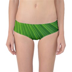 Green Lines Macro Pattern Classic Bikini Bottoms by Amaryn4rt