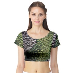 Bird Feathers Green Brown Short Sleeve Crop Top (tight Fit)