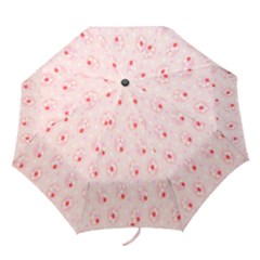 Flower Arrangements Season Pink Folding Umbrellas