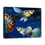 Marine Fishes Canvas 14  x 11 