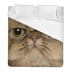 Cute Persian Cat Face In Closeup Duvet Cover (full/ Double Size) by Amaryn4rt