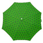 Green Abstract Art Circles Swirls Stars Straight Umbrellas