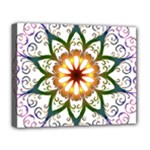 Prismatic Flower Floral Star Gold Green Purple Deluxe Canvas 20  x 16  