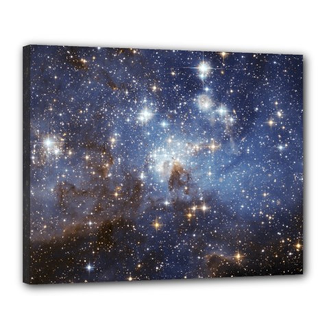 Large Magellanic Cloud Canvas 20  X 16 