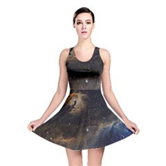 Seagull Nebula Reversible Skater Dress