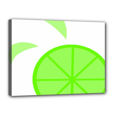 Fruit Lime Green Canvas 16  X 12  by Alisyart