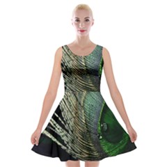 Feather Peacock Drops Green Velvet Skater Dress by Simbadda