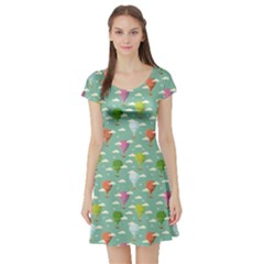 Green Retro Travel Pattern Of Balloons Short Sleeve Skater Dress by CoolDesigns