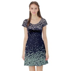 Navy4 Vintage Floral Short Sleeve Dress