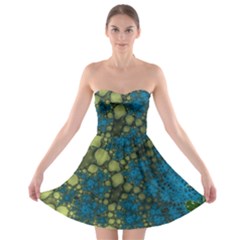 Holly Frame With Stone Fractal Background Strapless Bra Top Dress by Simbadda