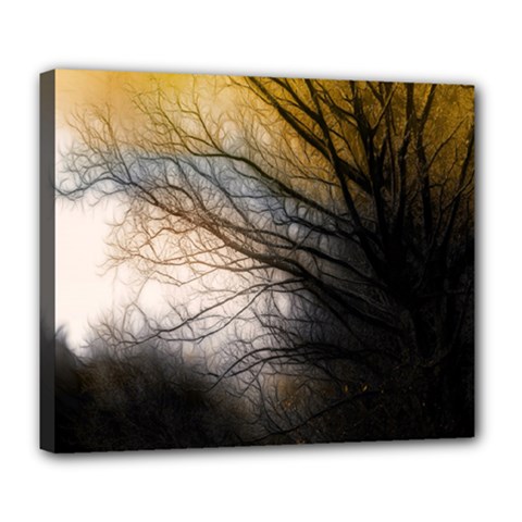 Tree Art Artistic Abstract Background Deluxe Canvas 24  X 20   by Nexatart
