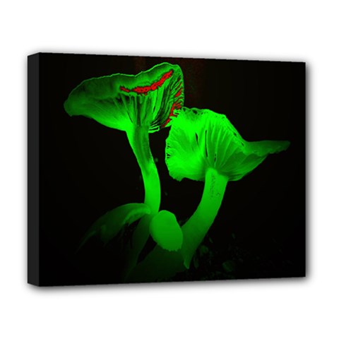 Neon Green Resolution Mushroom Deluxe Canvas 20  X 16   by Mariart
