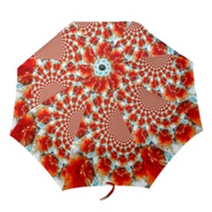 Stylish Background With Flowers Folding Umbrellas