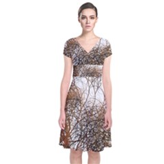 Digitally Painted Colourful Winter Branches Illustration Short Sleeve Front Wrap Dress by Nexatart