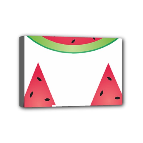 Watermelon Slice Red Green Fruite Mini Canvas 6  X 4 