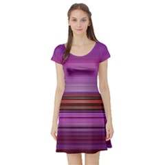 Stripes Line Red Purple Short Sleeve Skater Dress by Mariart