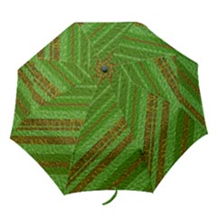 Stripes Course Texture Background Folding Umbrellas