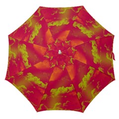 Sky Pattern Straight Umbrellas by Valentinaart