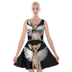 Angel Chihuahua Velvet Skater Dress by Valentinaart