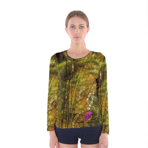 Dragonfly Dragonfly Wing Insect Women s Long Sleeve Tee by Nexatart