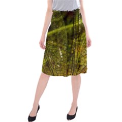 Dragonfly Dragonfly Wing Insect Midi Beach Skirt by Nexatart