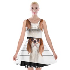 Bad Dog Velvet Skater Dress by Valentinaart