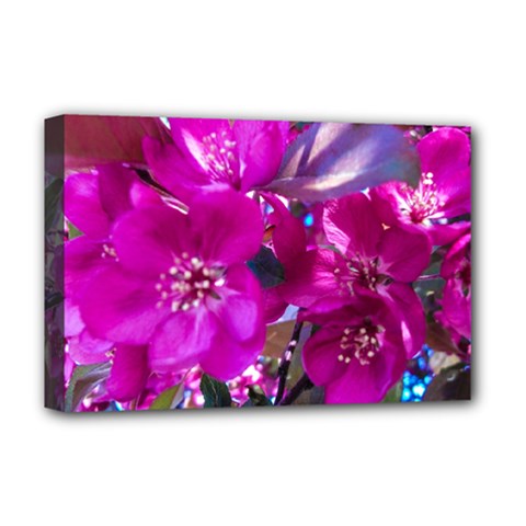 Pretty In Fuchsia Deluxe Canvas 18  X 12   by dawnsiegler
