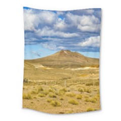Patagonian Landscape Scene, Argentina Medium Tapestry by dflcprints