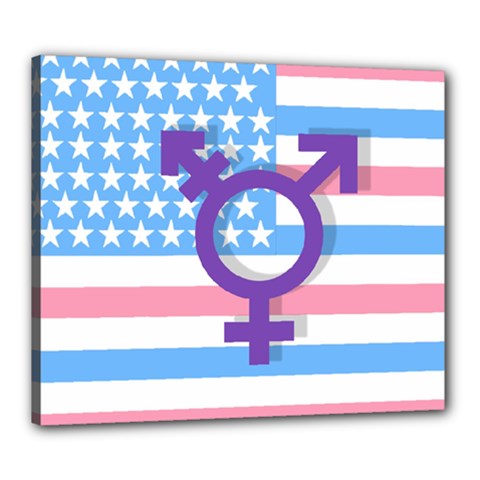 Transgender Flag Canvas 24  X 20  by Valentinaart