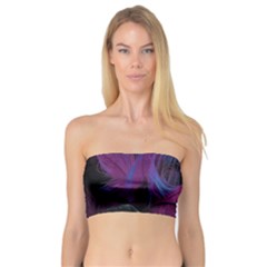 Feathers Quill Pink Black Blue Bandeau Top