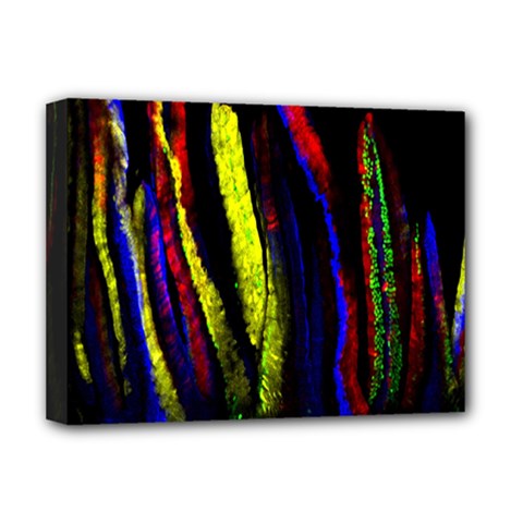 Multicolor Lineage Tracing Confetti Elegantly Illustrates Strength Combining Molecular Genetics Micr Deluxe Canvas 16  X 12   by Mariart
