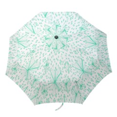Pattern Floralgreen Folding Umbrellas by Nexatart