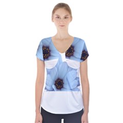 Daisy Flower Floral Plant Summer Short Sleeve Front Detail Top by Nexatart