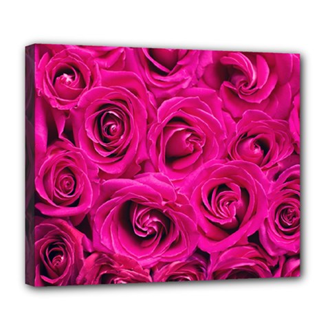 Pink Roses Roses Background Deluxe Canvas 24  X 20   by Nexatart